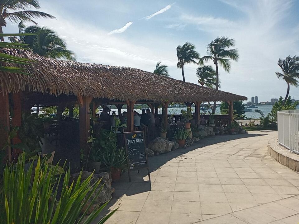 Just in paradise - Housity