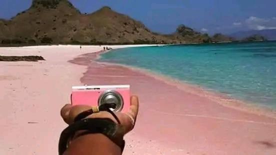 Komodo Tour 1-6 Pax 2 Days 1Night Privat tour - Housity