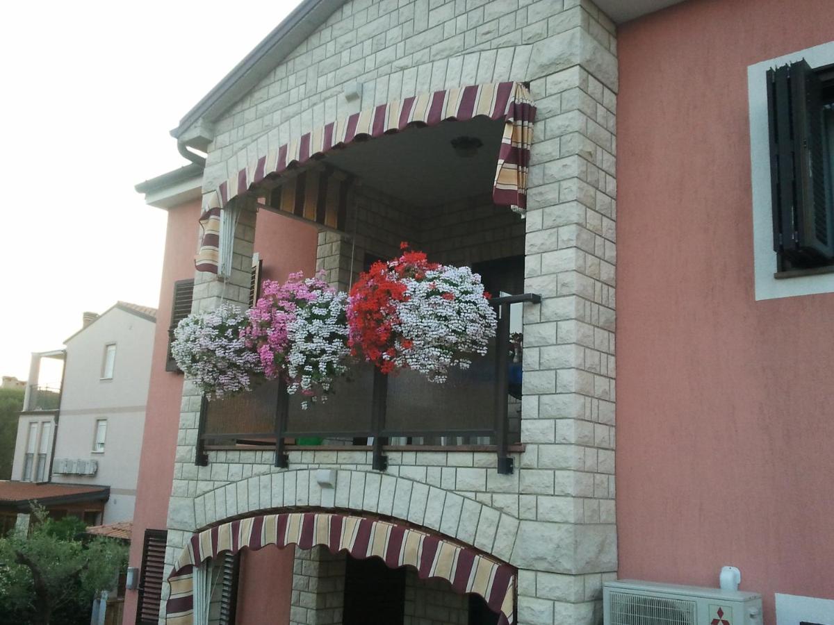 Apartments Daniela - Housity