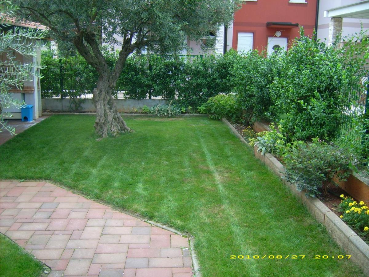 Apartments Daniela - Housity