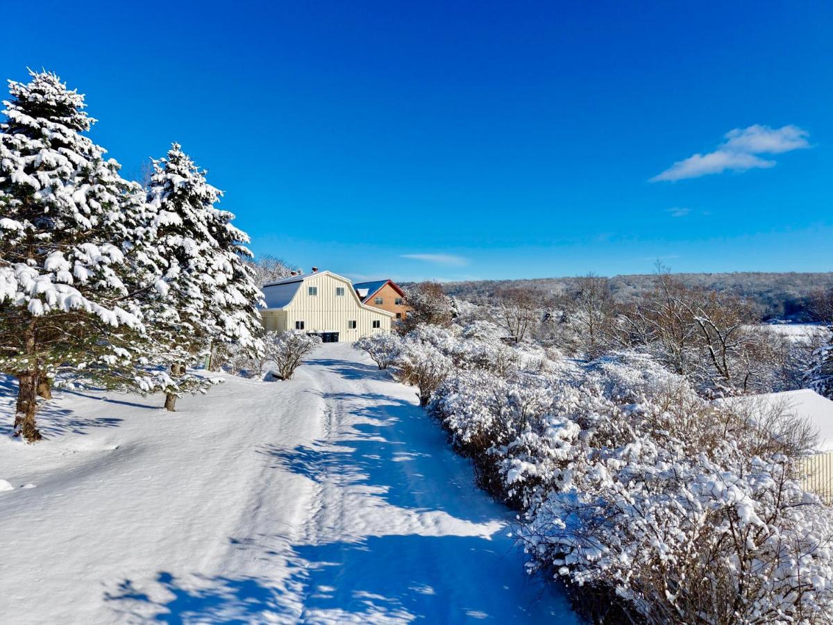 Ischua Ridge Ellicottville Private Resort. Ski, Explore, Rest! - Housity