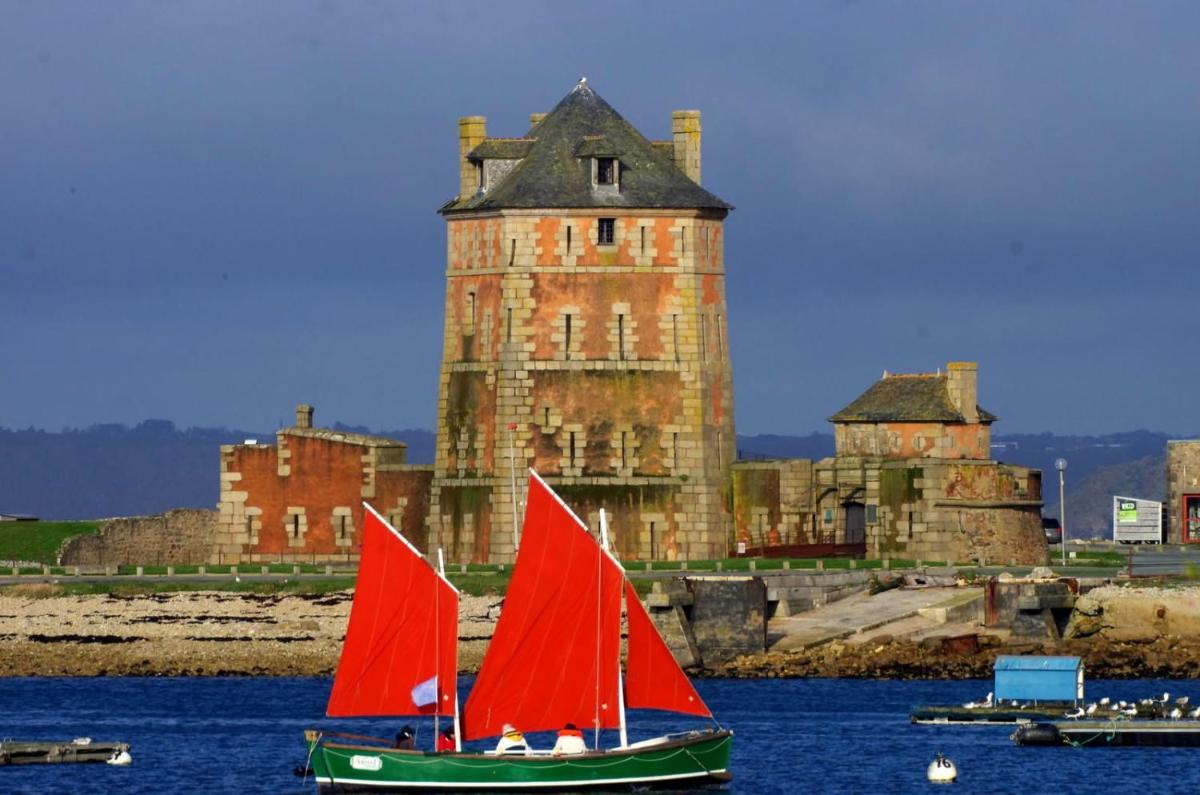 La Langouste ROUGE - Housity