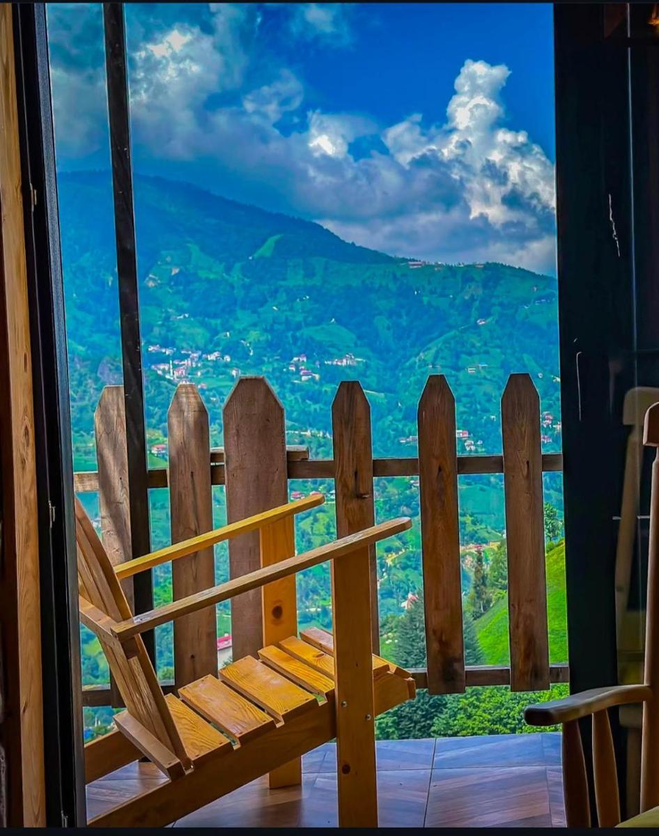 Golden Paws Guesthouse - Housity