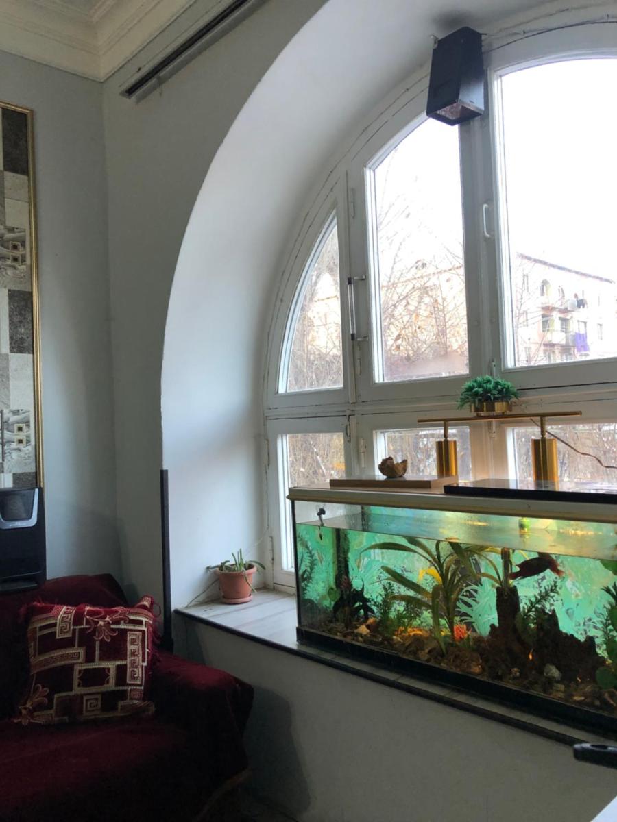 Guest House Dompolski - Housity