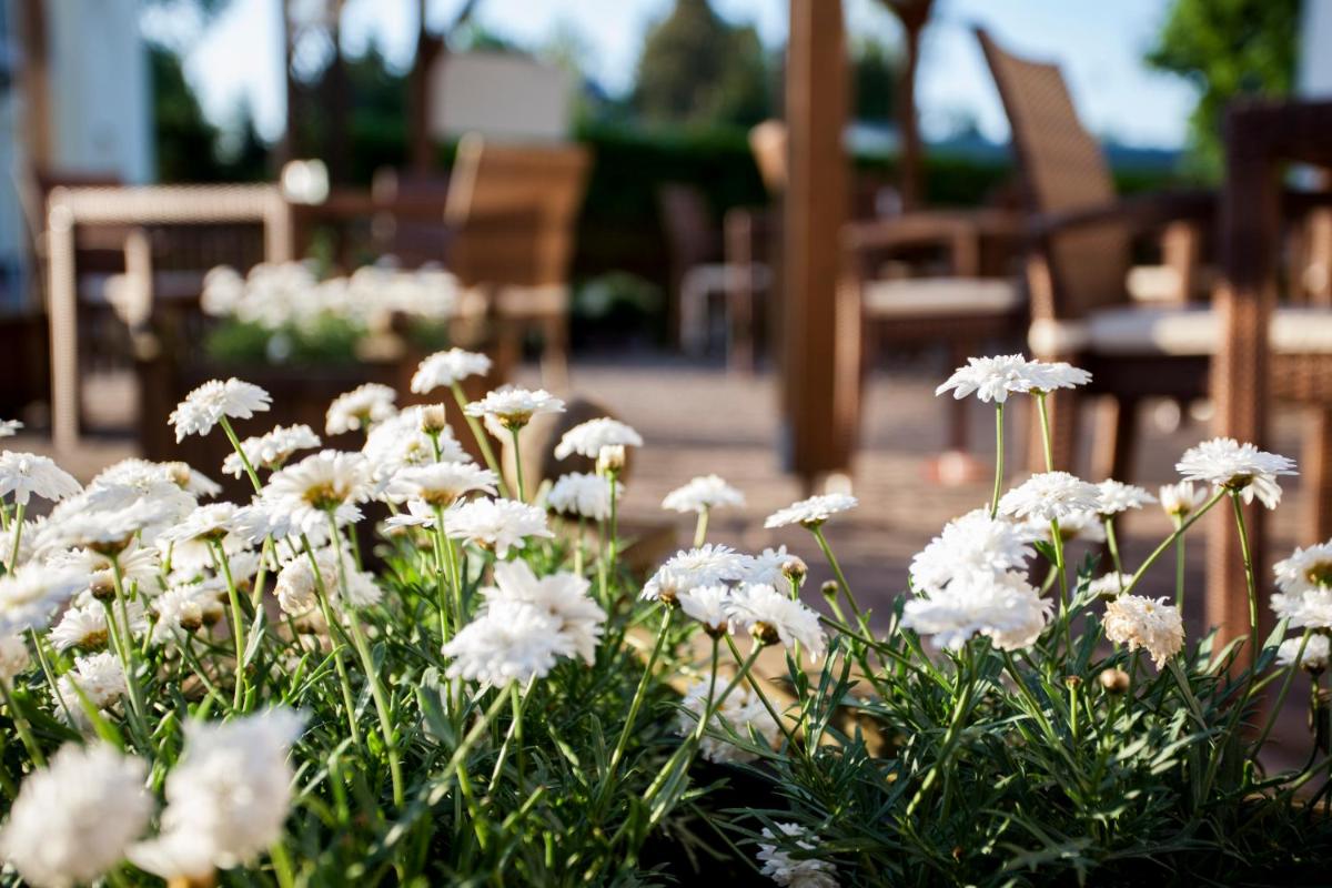 Hotel Barnimer Hof - Housity