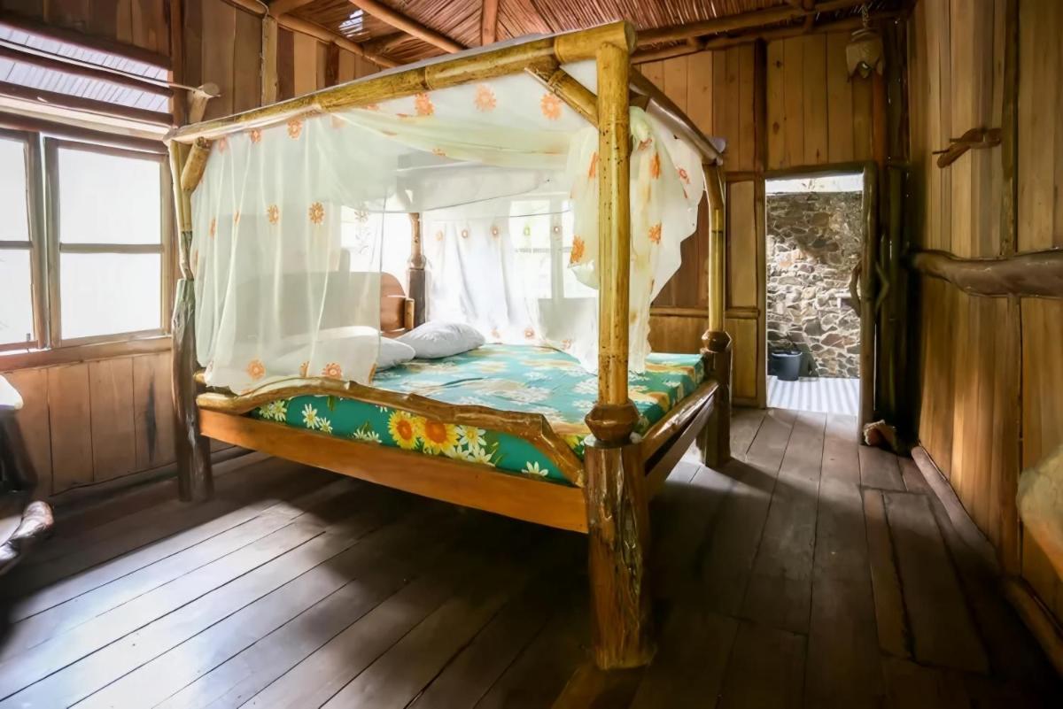 Back to Nature Ecotourism - Housity