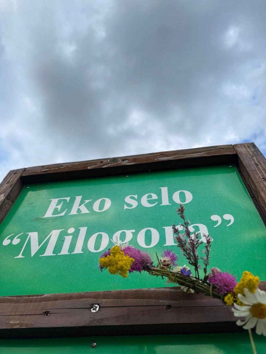 Etno selo - Guest House Etno Village - TRSA - Housity
