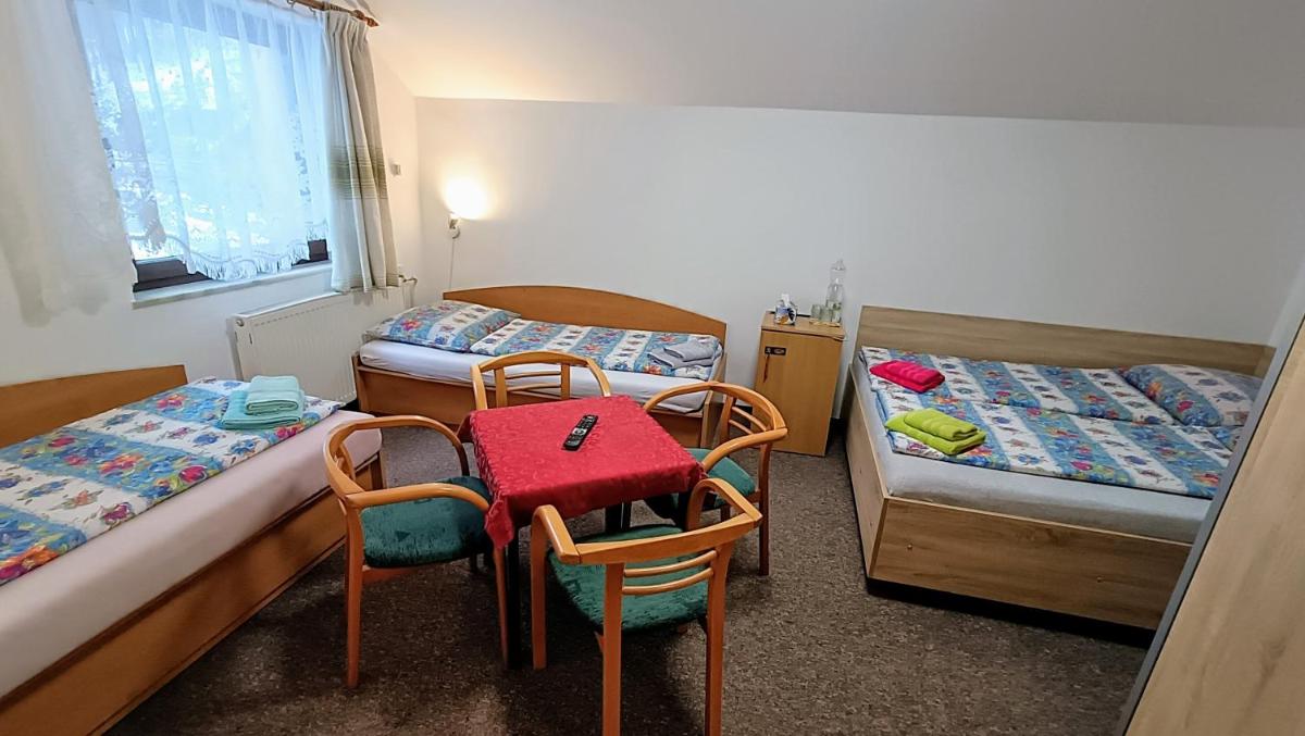 Pension 444 - Ski Resort Herlikovice and Bubakov - Housity