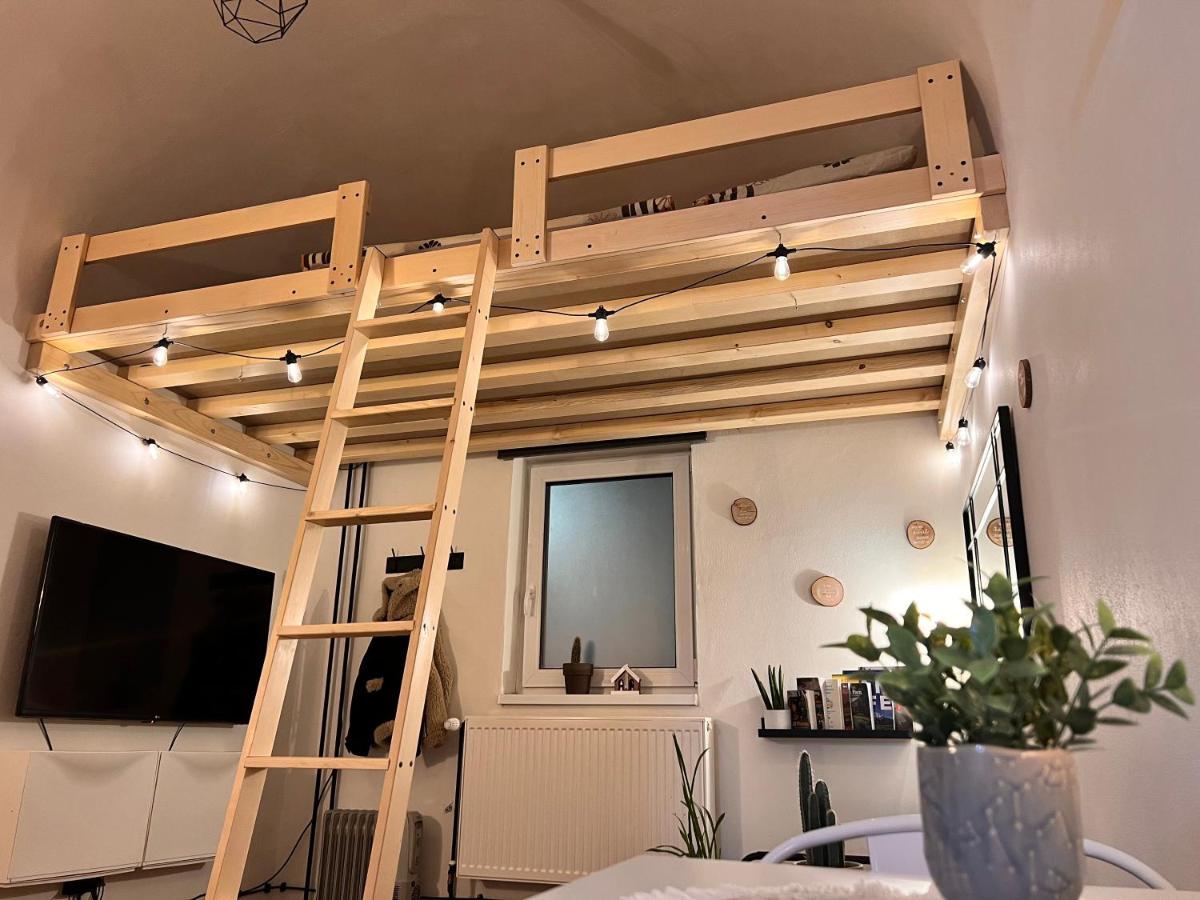Little Universe - Housity