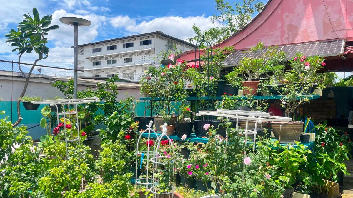 Pa Chalermchai Guesthouse - Housity