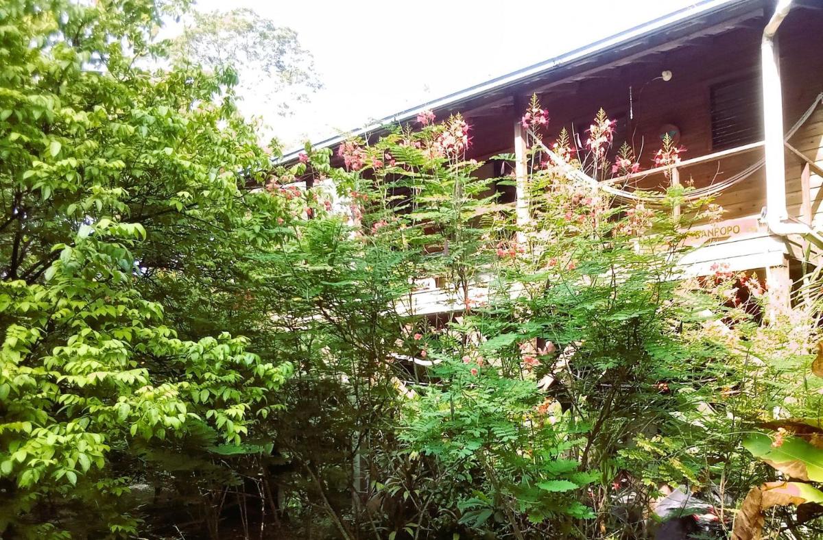Sanpopo Tree Top Cottage - A Gold Standard Tourism Approved Vacation Home - Housity