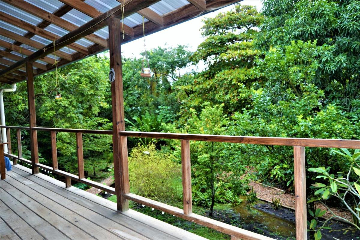 Sanpopo Tree Top Cottage - A Gold Standard Tourism Approved Vacation Home - Housity