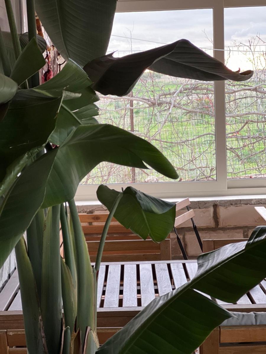Cozzo Spadaro B&B - Housity