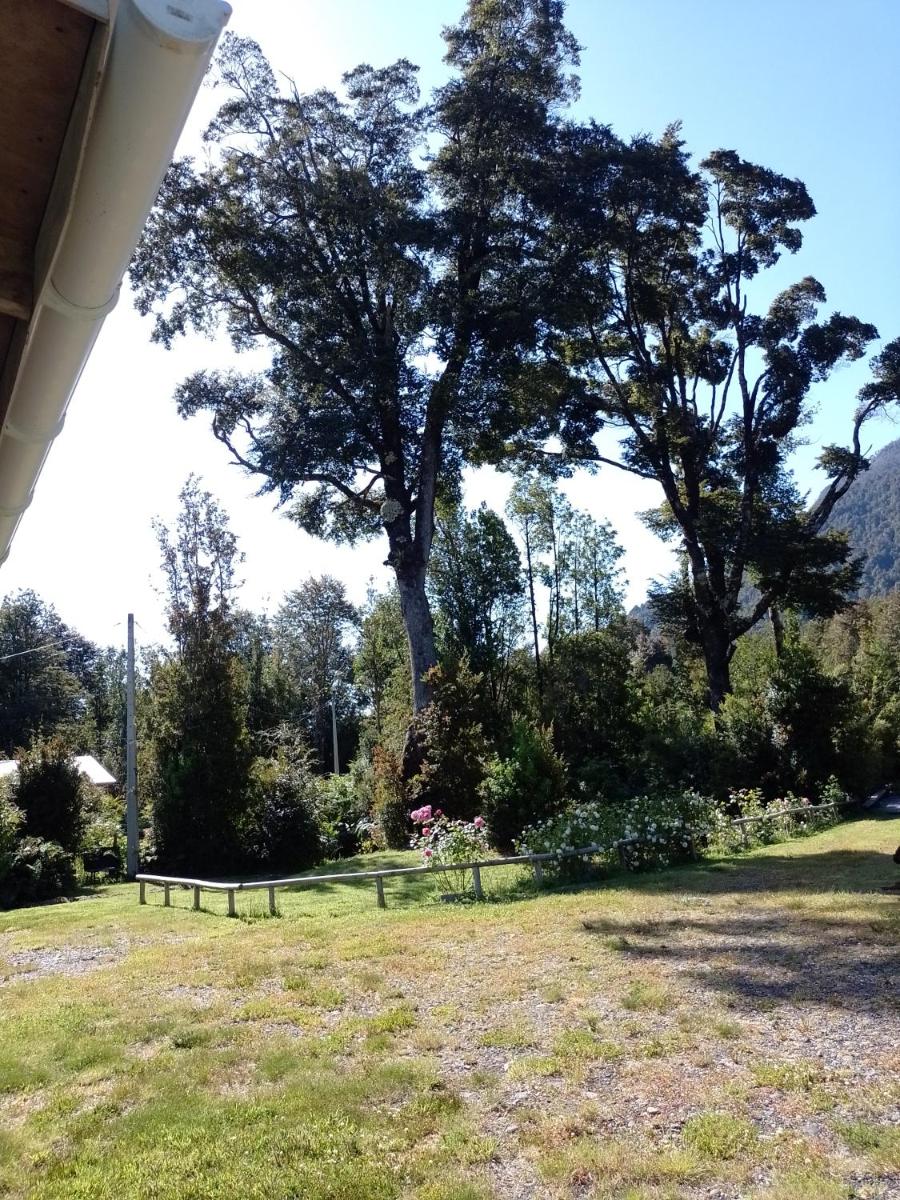 Del bosque - Housity