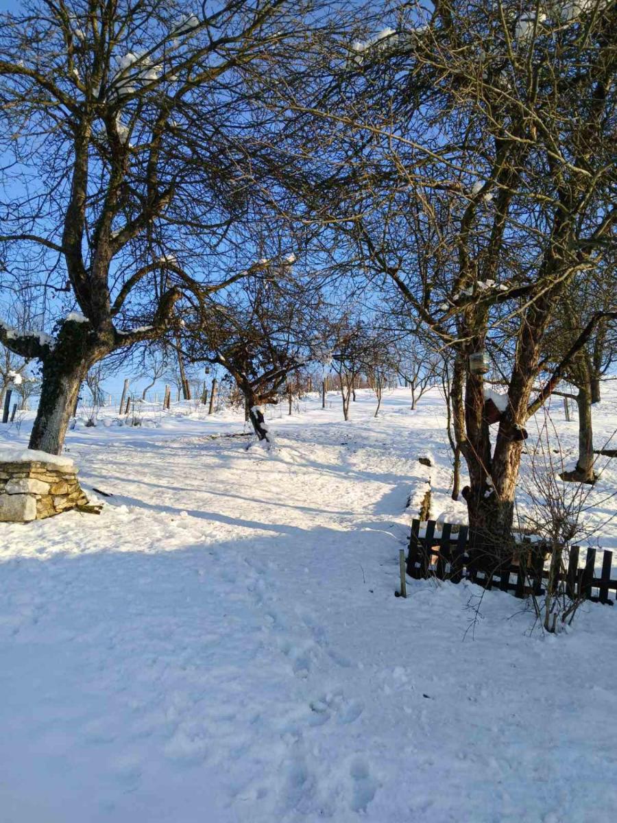 Vikendica i vajat Vrbica - Housity