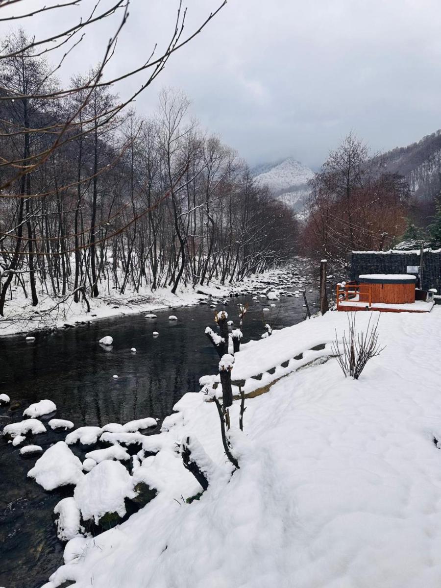 Woods Retreat - Housity