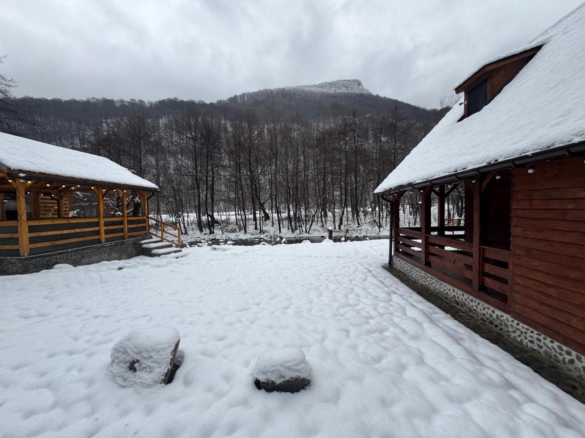 Woods Retreat - Housity