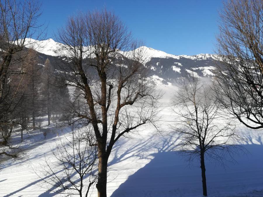 Apartment Mountain View - Housity