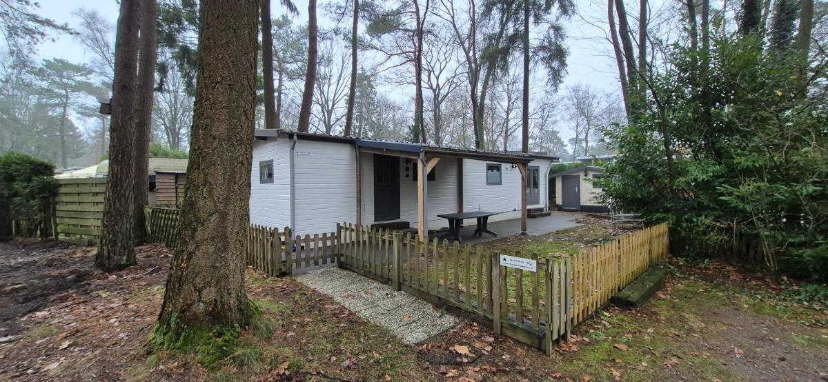 Chalet Hoenderloo Beuk - Housity