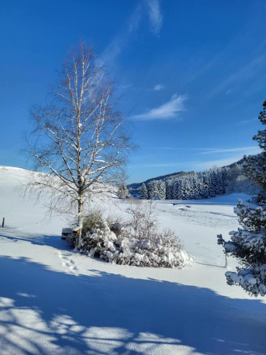 HOTEL Auberge du grand Git - Housity