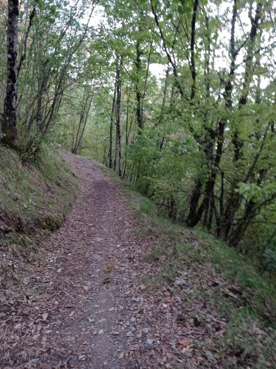 AL CORNIOLO - Housity