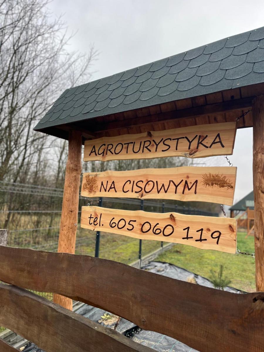 Agroturystyka na Cisowym - Housity