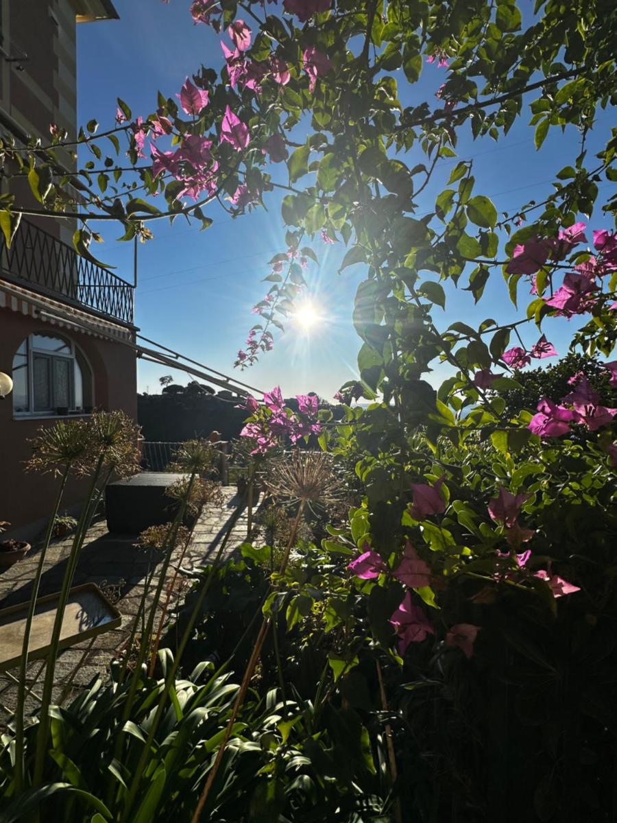 Casa Lella Recco - Housity