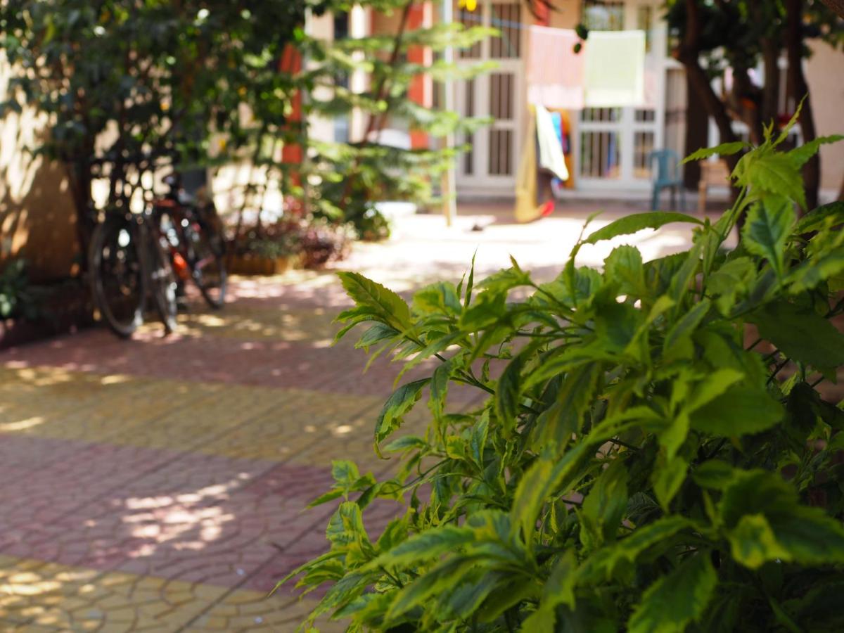 Manuhie Backpackers Lodge - Housity