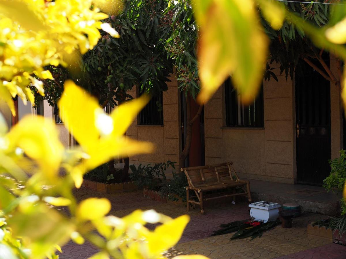 Manuhie Backpackers Lodge - Housity