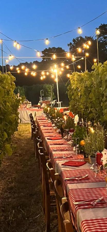 Agriturismo a casa di Susanna - Housity