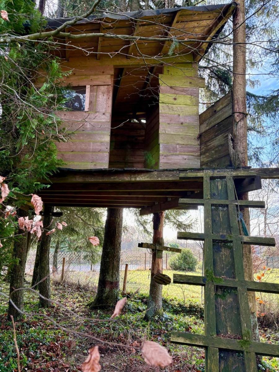 Ferienhaus Waldsiedlung - Housity