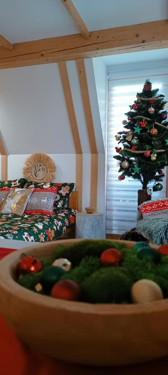 Lux Houses w DOMKU tylko DWA APARTAMENTYz jacuzzi zewnętrznym - Housity
