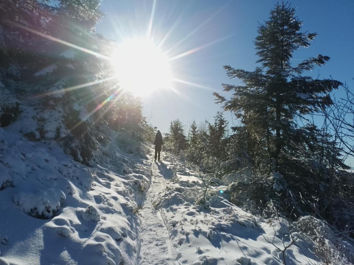 Ferienwohnung Waldrausch - Housity