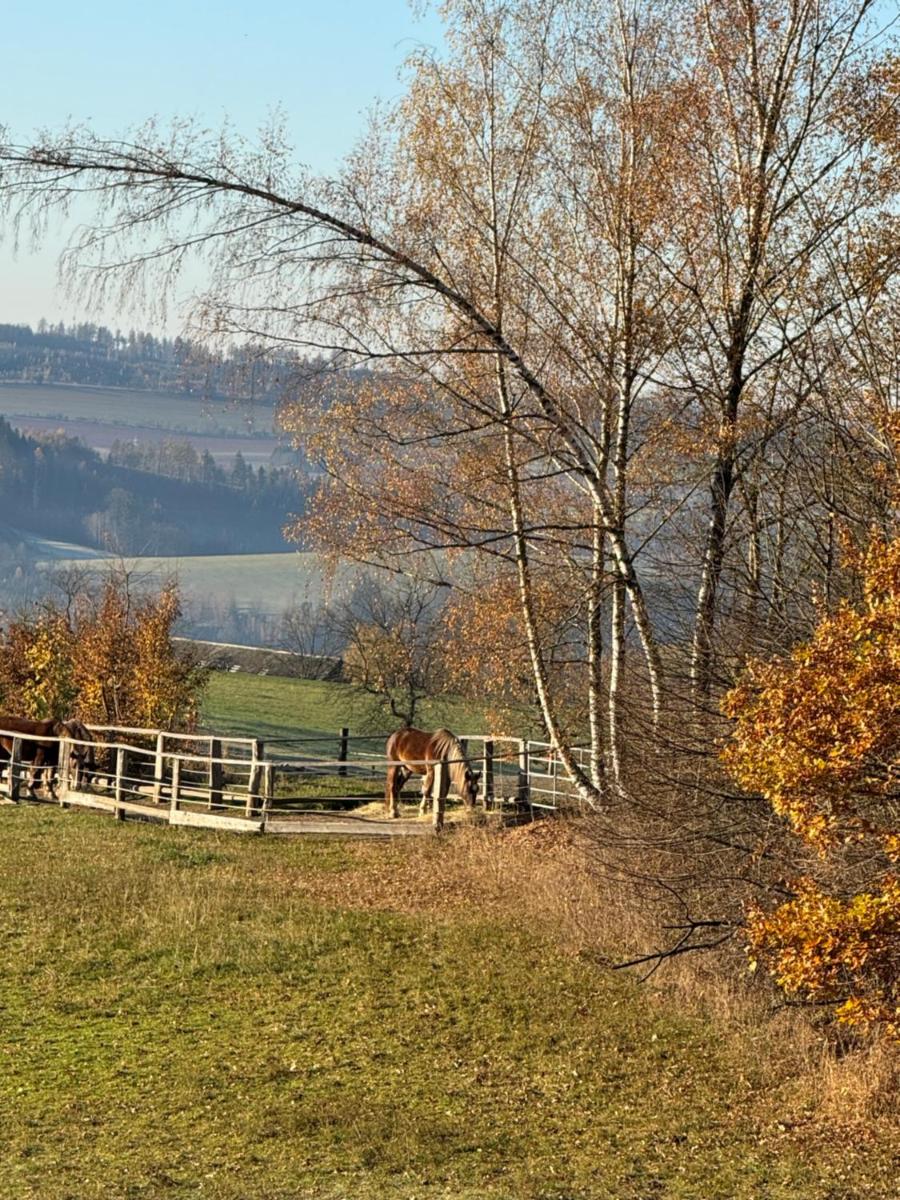 Wonderful Tiny house Hootka with fabulous view near Semily - Housity