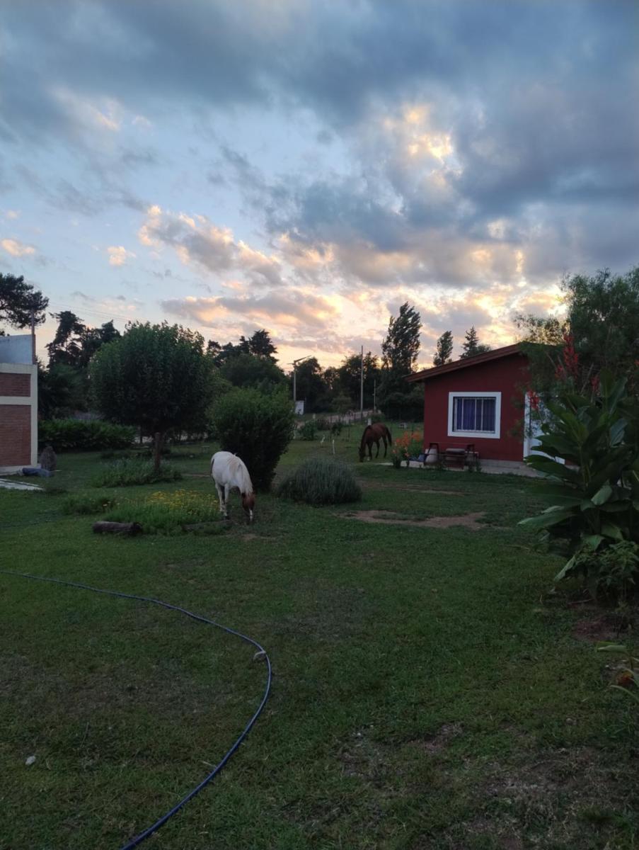 Petit Valley Calamuchita - Housity