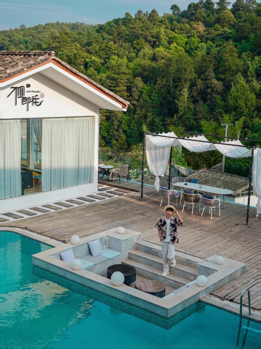 No Flowers Boutique Hostel - Housity