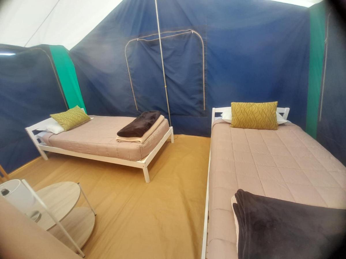 Leithfield Beach Holiday Park - Housity