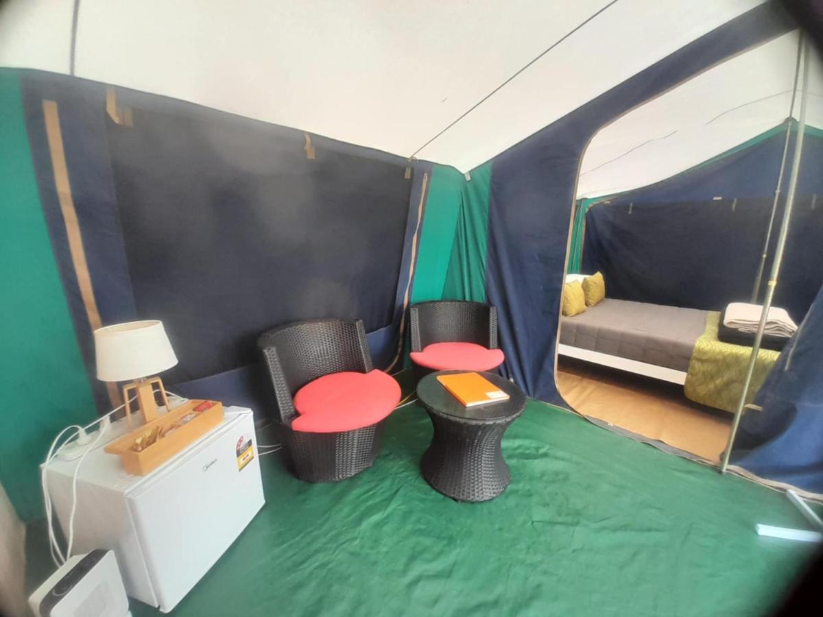 Leithfield Beach Holiday Park - Housity