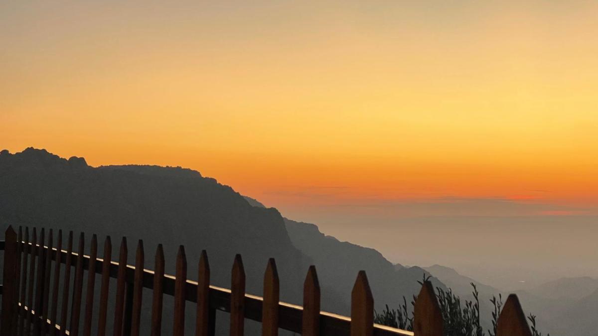 Dana luxury huts - Housity