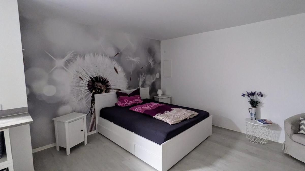 Ferienwohnung Einraum Apartment Pusteblume - Housity