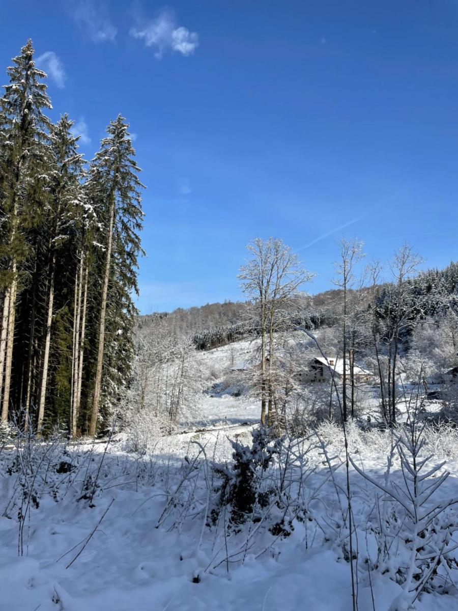 La Hutte - Housity