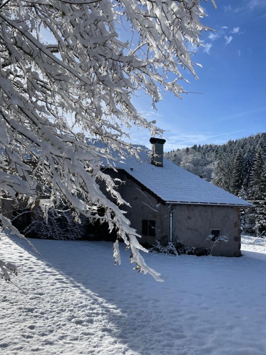 La Hutte - Housity