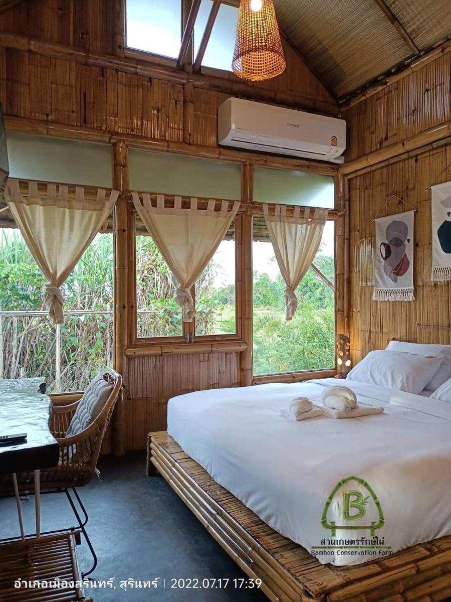 สวนเกษตรรักษ์ไผ่ Bamboo Conservation Farm - Housity