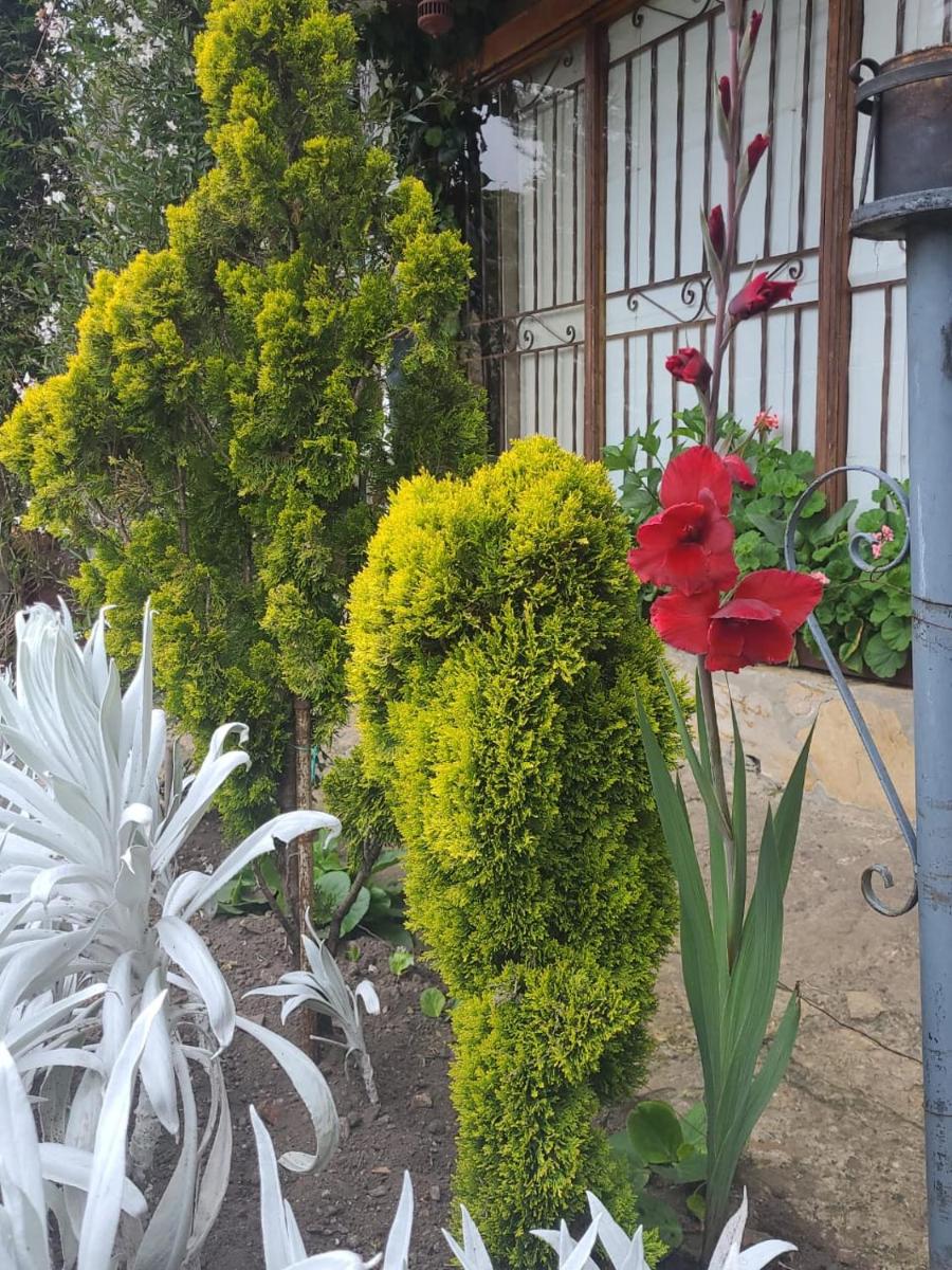 The Frailejon House - Housity