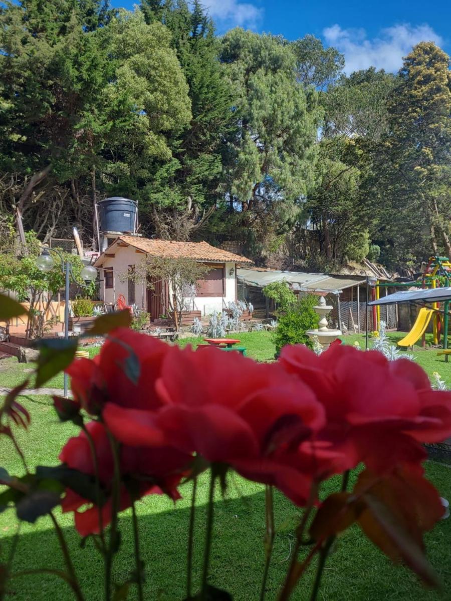 The Frailejon House - Housity