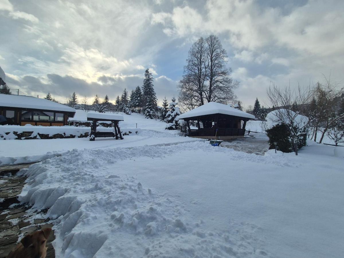Casa Izvorul Rarăului - Housity