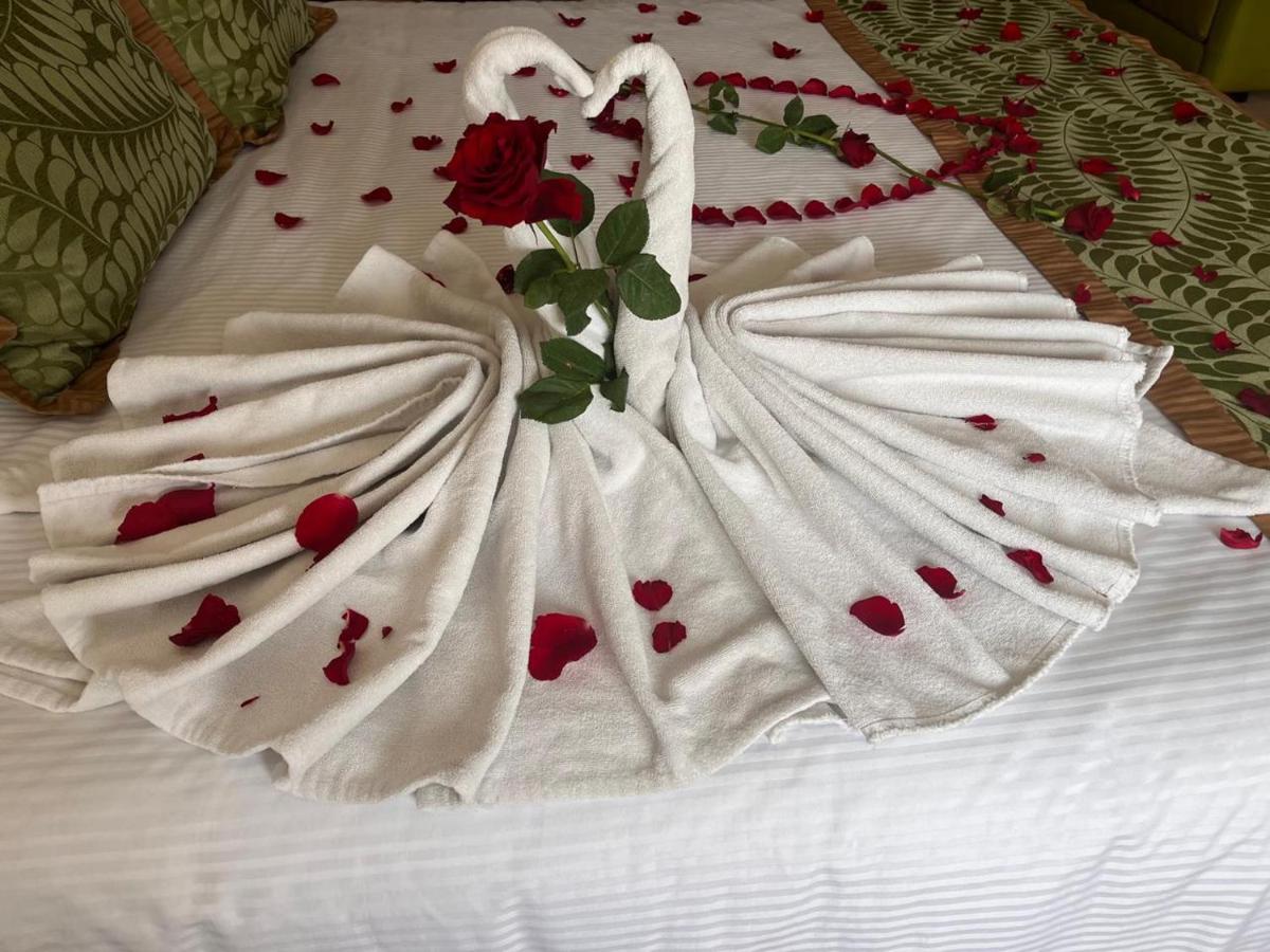 Hotel San Carlos Tequisquiapan - Housity