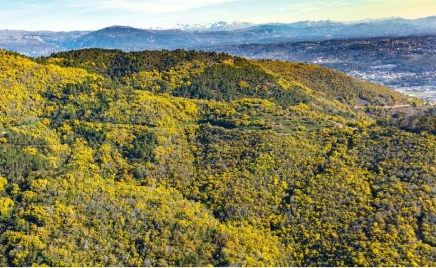 Studio indépendant dans màs provençal - Housity