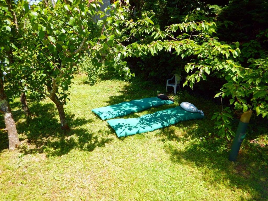 Appt Independant 4 5 ou 6 personnes piscine direct gare ou aeroport Jardin Piscine - Housity