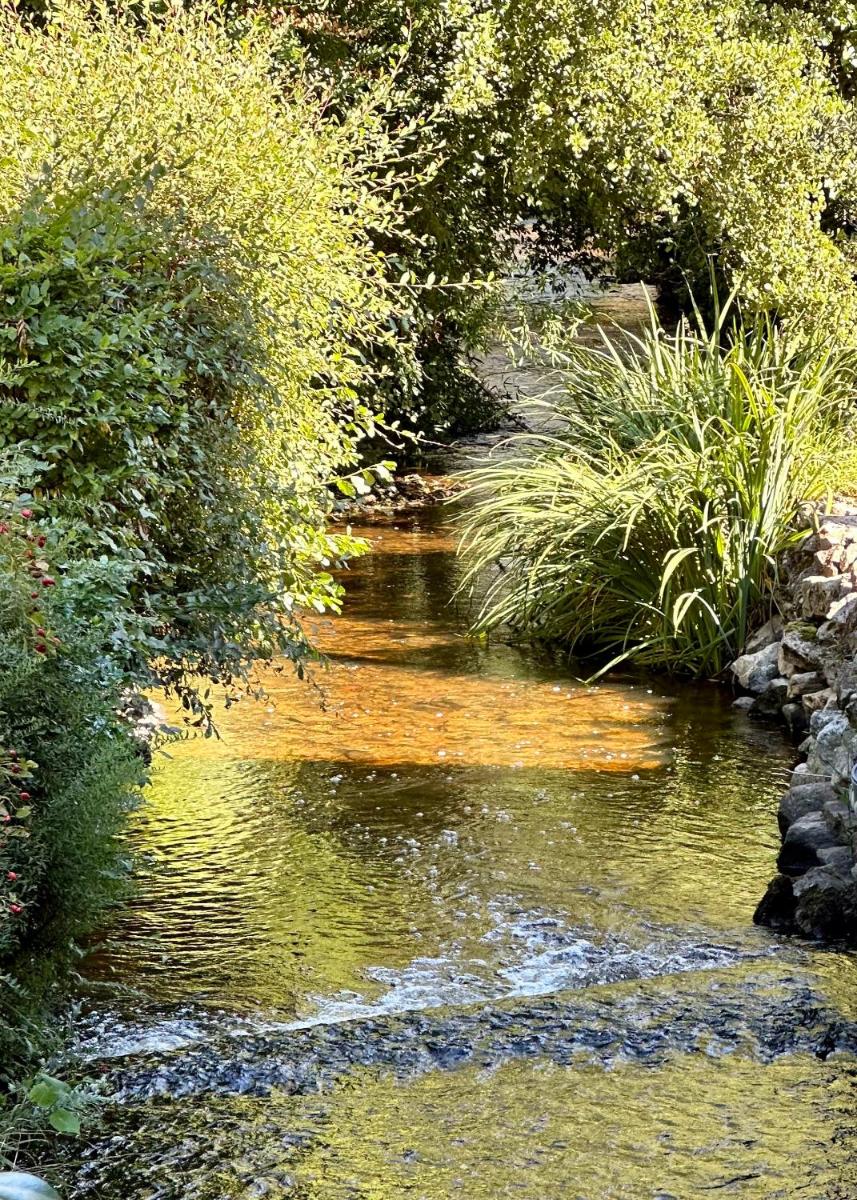 Gite du Moulin Toucan - Housity